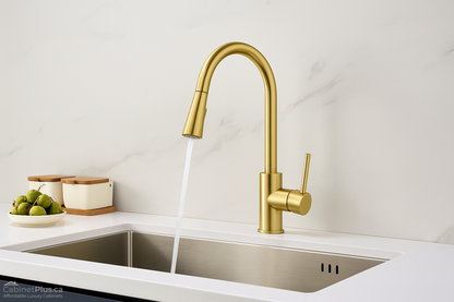 Brushed Gold Pull-Down Kitchen Faucet (F-3308-G)
