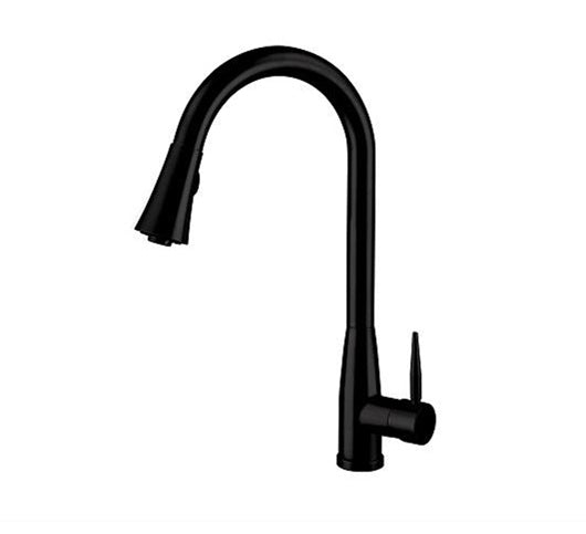 Matte Black Pull-Down Kitchen Faucet (F-8198-B)