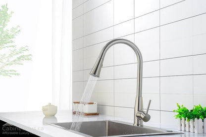 Brushed Nickel Pull-Down Kitchen Faucet (F-8198-N)